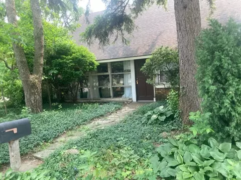 7825 41st Pl, Lyons, IL 60534 photo 3
