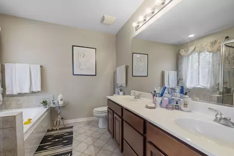 Bath - 17612 S Gilbert Dr, Lockport, IL 60441 photo 2 of 3