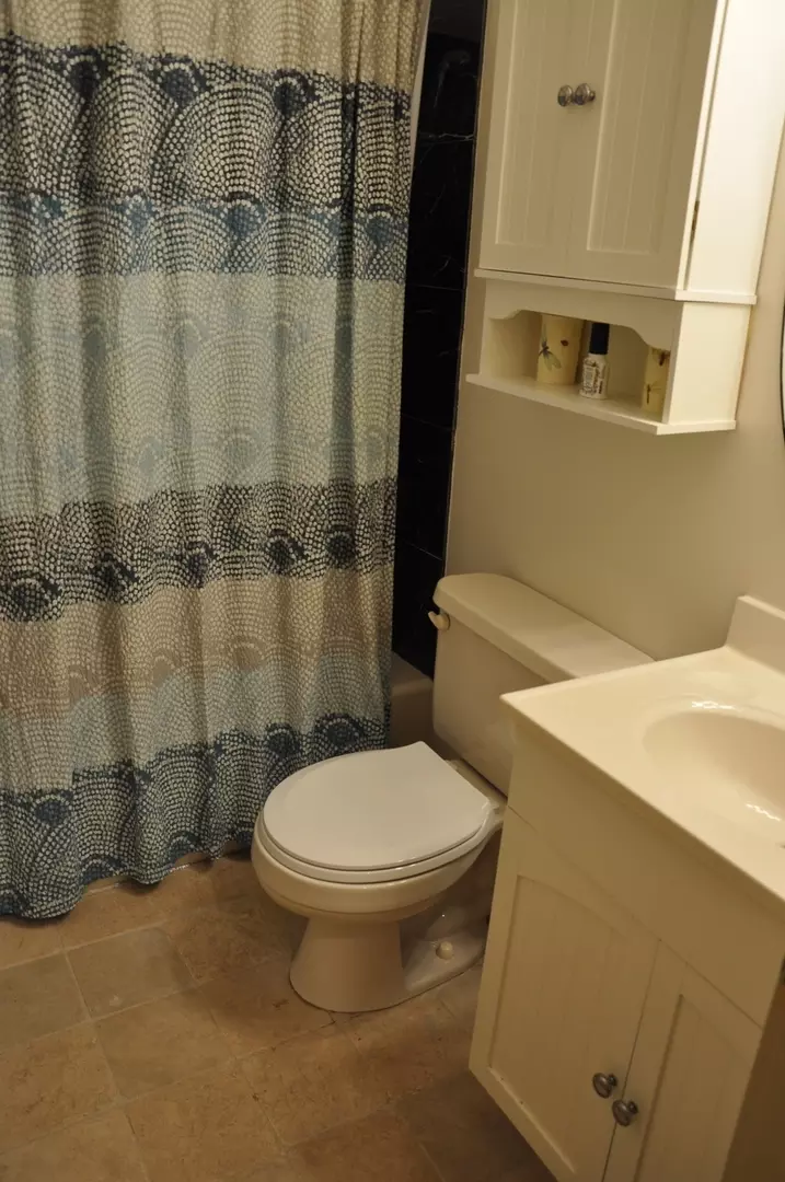 Bath - 1693 Strawberry Dr, Varna, IL 61375 photo 2 of 3