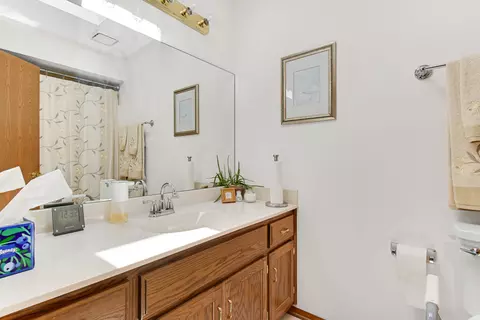 Bath - 433 Wheatfield Rd, Matteson, IL 60443 photo 2 of 3