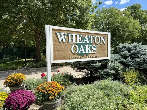 View/Area - 1118 Oakview Dr, Wheaton, IL 60187 photo 1 of 1