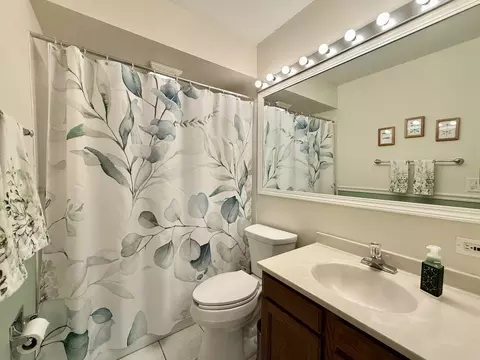 Bath - 1118 Oakview Dr, Wheaton, IL 60187 photo 1 of 4