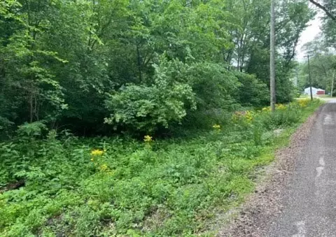 lot9 S 13 S Hickory Ave, Wilmington, IL 60481