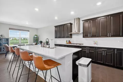 16038 S Selfridge Cir, Plainfield, IL 60586 photo 14