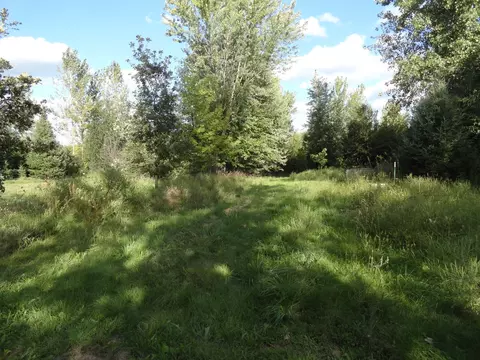 Exterior - 18250 Malvern Rd, Morrison, IL 61270 photo 20 of 23