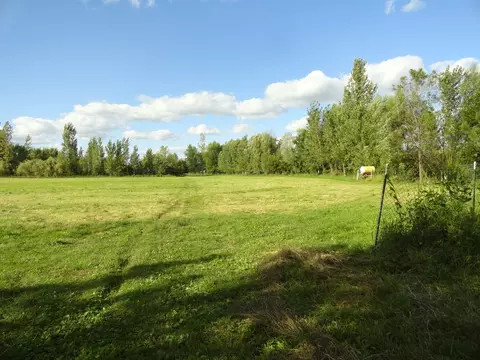 Other - 18250 Malvern Rd, Morrison, IL 61270 photo 4 of 15