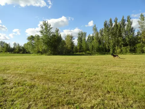 Other - 18250 Malvern Rd, Morrison, IL 61270 photo 11 of 15