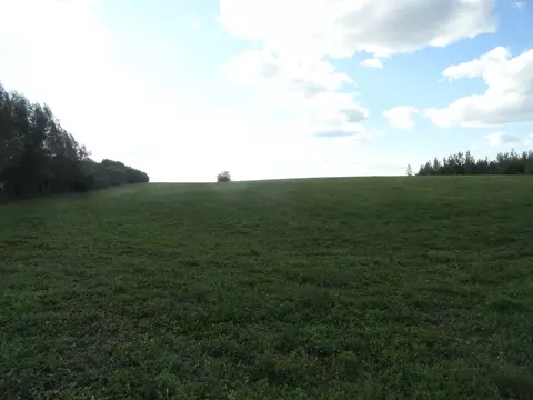 Other - 18250 Malvern Rd, Morrison, IL 61270 photo 6 of 15