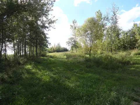 Exterior - 18250 Malvern Rd, Morrison, IL 61270 photo 18 of 23
