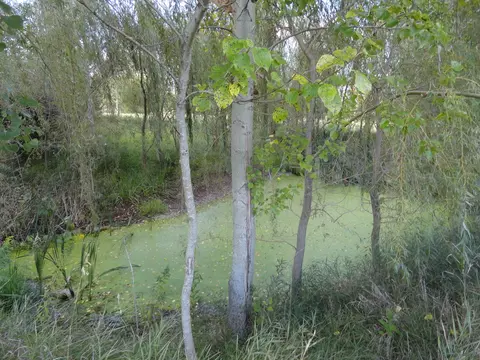 Other - 18250 Malvern Rd, Morrison, IL 61270 photo 9 of 15