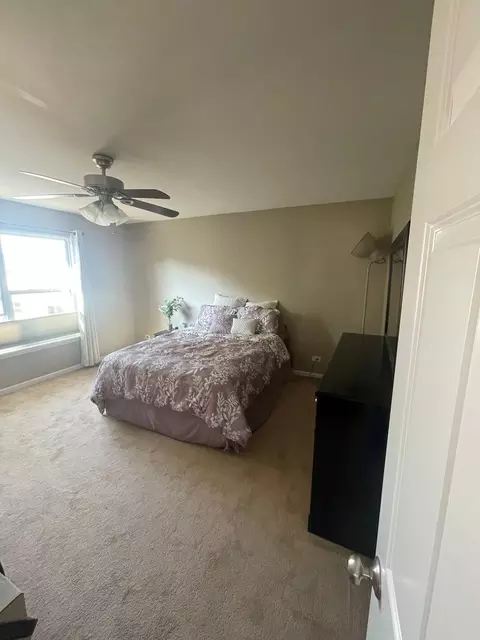 Other - 186 Sunflower Ln, Bartlett, IL 60103 photo 4 of 4
