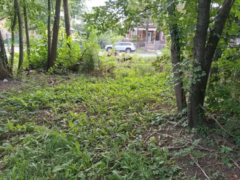 7149 S Champlain Ave, Chicago, IL 60619