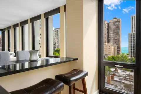 1 E Scott St #1003, Chicago, IL 60610 photo 4