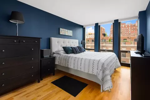 1 E Scott St #1003, Chicago, IL 60610 photo 9