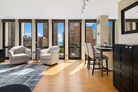 1 E Scott St #1003, Chicago, IL 60610 photo 2