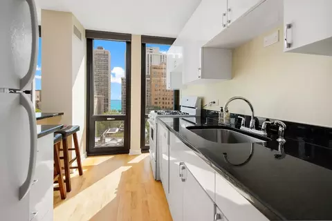 1 E Scott St #1003, Chicago, IL 60610 photo 8