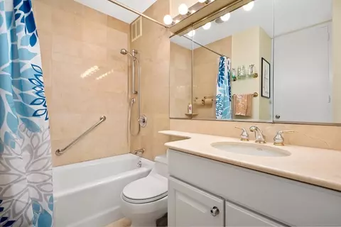 1 E Scott St #1003, Chicago, IL 60610 photo 10