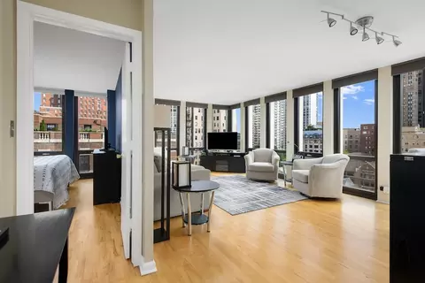 1 E Scott St #1003, Chicago, IL 60610 photo 6