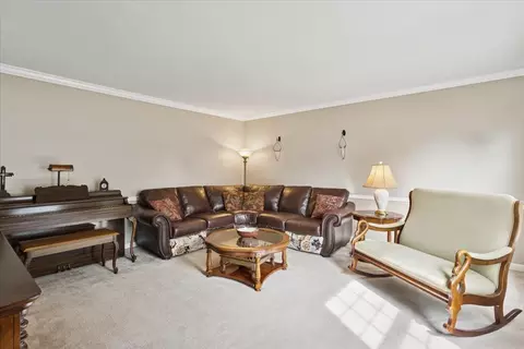 1572 Clemson Dr, Naperville, IL 60565 photo 12