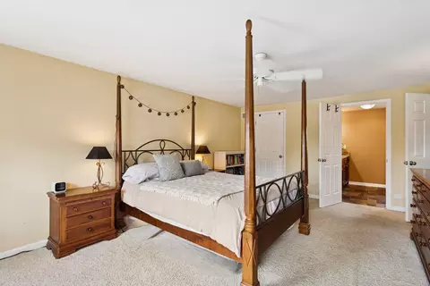 1572 Clemson Dr, Naperville, IL 60565 photo 19