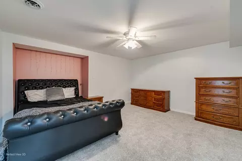 1413 Sedge Pass, Minooka, IL 60447 photo 23
