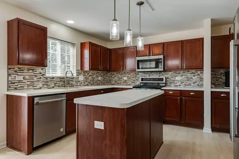 1413 Sedge Pass, Minooka, IL 60447 photo 3