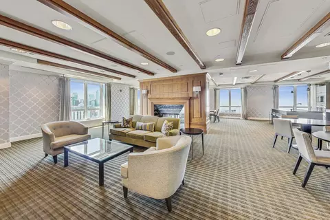 Living - 10 E Delaware Pl #18D, Chicago, IL 60611 photo 5 of 6