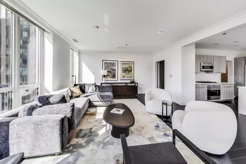Living - 10 E Delaware Pl #18D, Chicago, IL 60611 photo 4 of 6