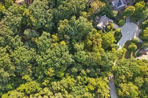 11 Harper Ct, Algonquin, IL 60102 photo 7