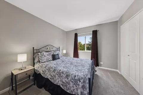 Bedroom - 12225 S Shagbark Dr, Plainfield, IL 60585 photo 3 of 6