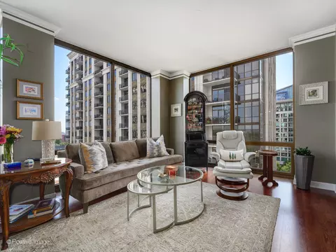 233 E 13th St #1209, Chicago, IL 60605 photo 6