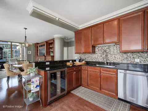 233 E 13th St #1209, Chicago, IL 60605 photo 14
