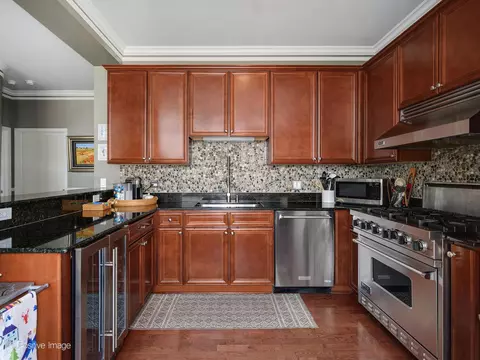233 E 13th St #1209, Chicago, IL 60605 photo 16