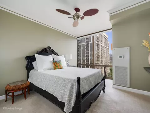 233 E 13th St #1209, Chicago, IL 60605 photo 18