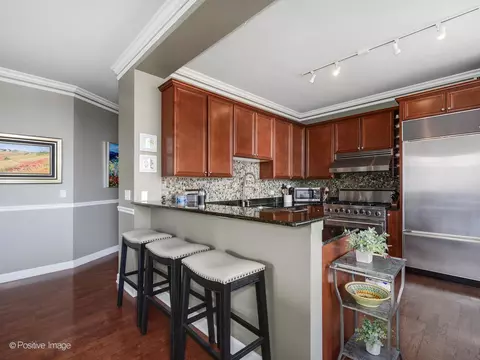 233 E 13th St #1209, Chicago, IL 60605 photo 11