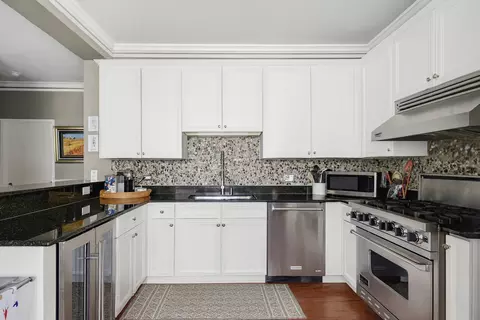 233 E 13th St #1209, Chicago, IL 60605 photo 17