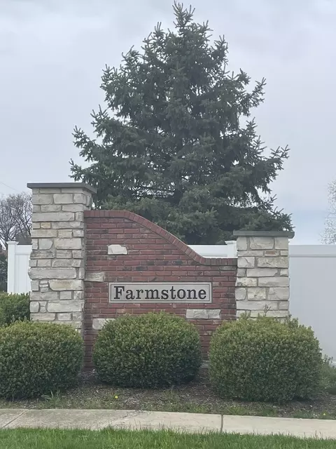 1170 Farmstone Dr, Diamond, IL 60416