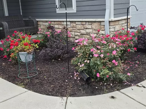 Exterior - 355 E Janet Dr, Braidwood, IL 60408 photo 2 of 5