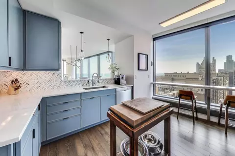 60 E Monroe St #2702, Chicago, IL 60603 photo 12