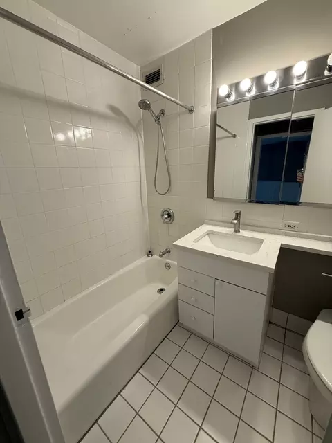 Bath - 222 E Pearson St #1807, Chicago, IL 60611 photo 1 of 1