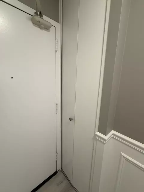 Other - 222 E Pearson St #1807, Chicago, IL 60611 photo 4 of 4