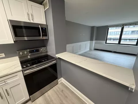 Kitchen - 222 E Pearson St #1807, Chicago, IL 60611 photo 2 of 3