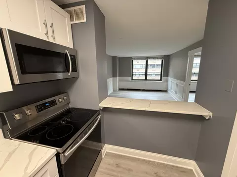 Kitchen - 222 E Pearson St #1807, Chicago, IL 60611 photo 3 of 3