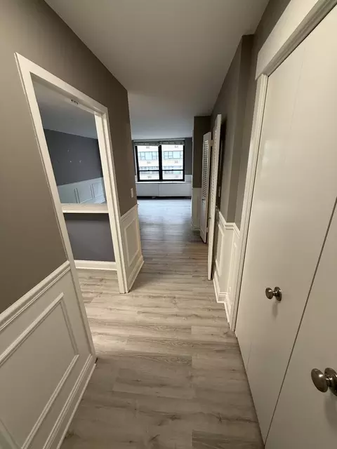 Entry Way - 222 E Pearson St #1807, Chicago, IL 60611 photo 1 of 1