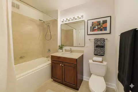 Bath - 420 E Waterside Dr #3304, Chicago, IL 60601 photo 2 of 2