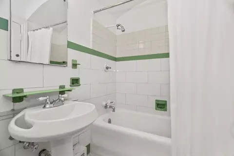 Bath - 222 E Chestnut St #3D, Chicago, IL 60611 photo 1 of 3