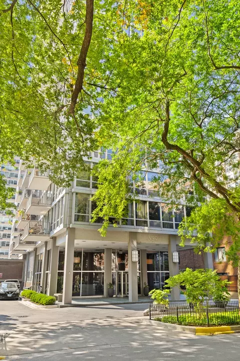 339 W Barry Ave #10C, Chicago, IL 60657