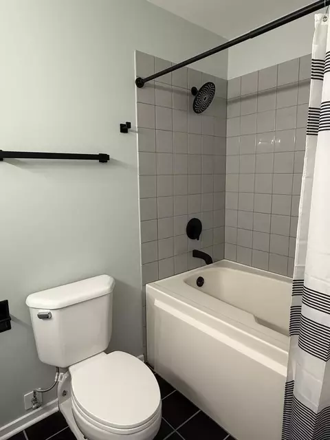 Bath - 1000 E 53rd St #511, Chicago, IL 60615 photo 3 of 4