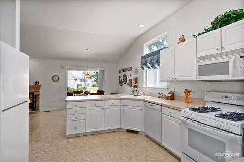 13954 S Tamarack Dr, Plainfield, IL 60544 photo 7