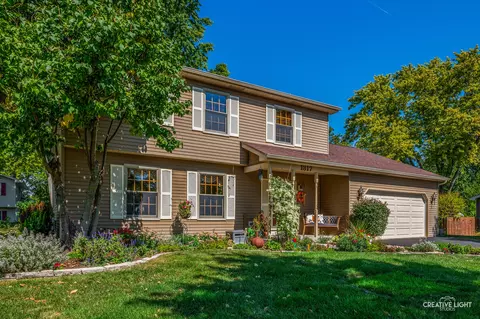 1317 Galena Ct, Naperville, IL 60564